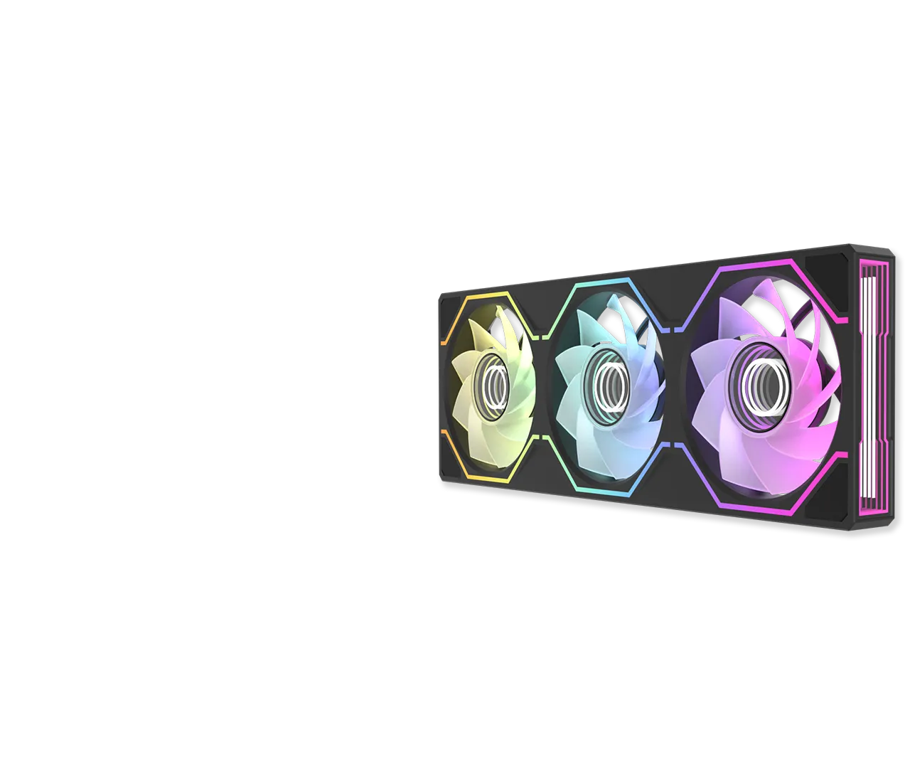 SWAFAN animation frame