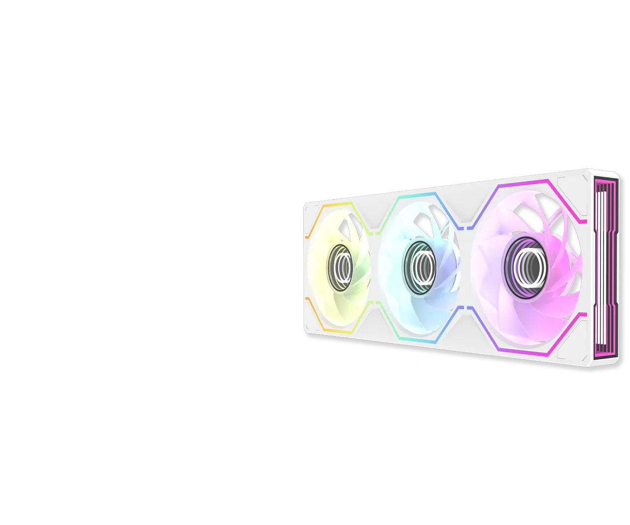 SWAFAN animation frame